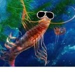 Shrimp's