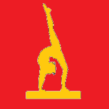 City Of Saturn Gymnastics Club Gym UK