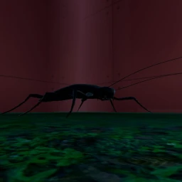 cockroach challenge 2 icon