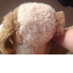 Puppy and fox fan group