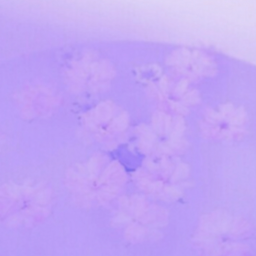 𝐥
