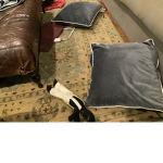 The floor Fan group