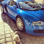 rich off fraud
