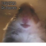Ro-Bacons