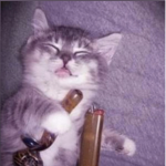 Nightous