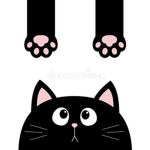 Gato negro