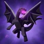 Team Ender Dragons