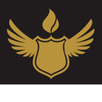 Task Force Shield