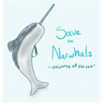 Save The Narwhals!