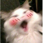 I LOBE ANIME YAY :D
