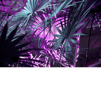 Chill place 