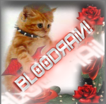 ##BLOODRAIN