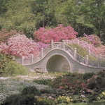 Sera's Garden
