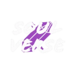 Soul Verse Studios