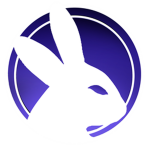 BunX Studio