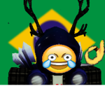 YT BR