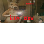 iarwc crew