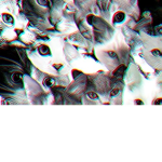 cᴀᴛᴀᴛᴏɴɪᴄ