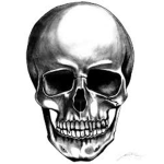 D34D $KULL$Z
