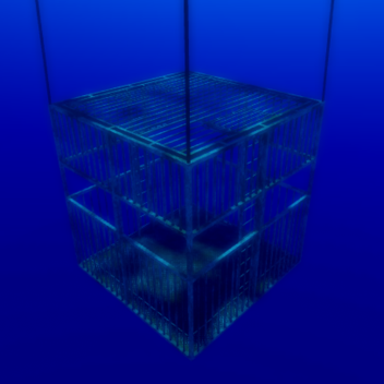 Shark Cage Diving