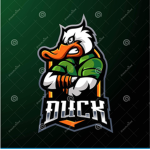 Duck developer