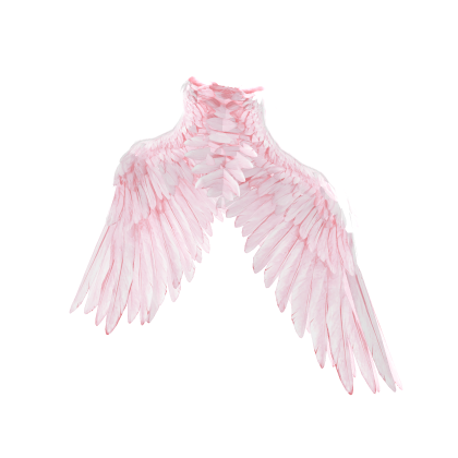 Pink & White Angel Wings [Emissive]