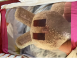 Minecraft bunny