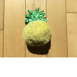 pineapple land
