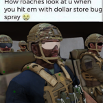 Wasp Security Solutions
