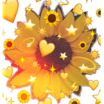 Sunflower squad for ever