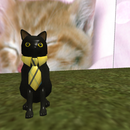 Sir Meows Alot Fans Official Group!'s Place Number