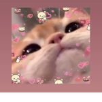 Chmielek_yt