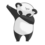 The Wise Pandas