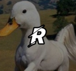 RandommStoree