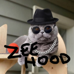 Zee Best Remake OATTTT