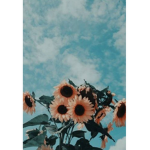 tropical sunflower forever