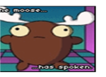 The moose fanclub