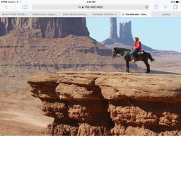 The Wild West rp