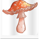 Mushroom Lavender