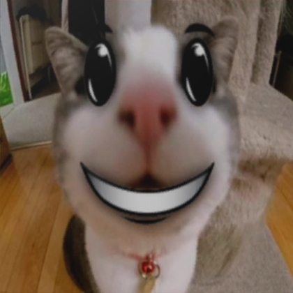 The Smiling Cat pfp Roblox item