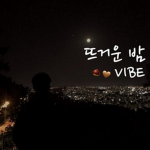 뜨거운 밤 V I B E