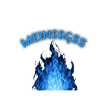 MEINSSGSS