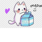 Cat gurl group