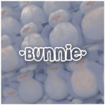 -Bunnie-