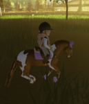 ~Willow Creek Stables~