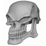 Skullᅠ