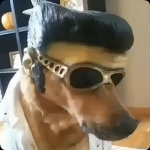 TotallyNoDepression