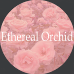 《 Ethereal Orchid 》