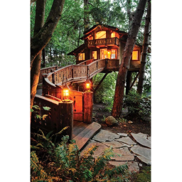 tree~house