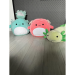 AXOLOTL_GRUP